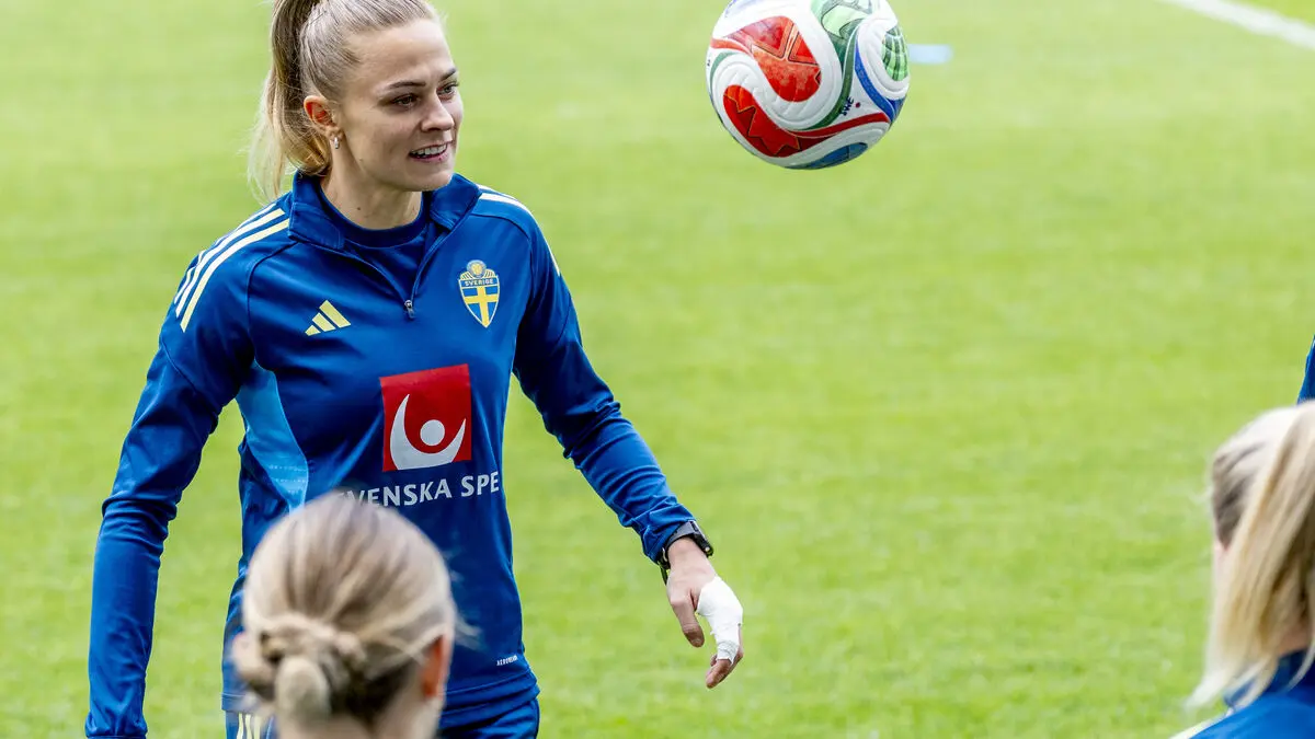 Guide: Last match in a tough World Cup qualifier - Sweden vs Italy