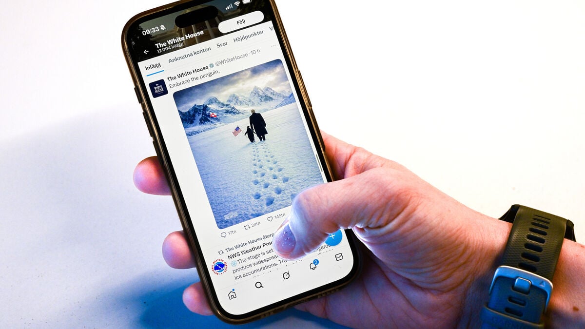 White House penguin photo in Greenland mocked