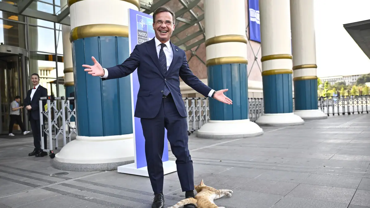 Cats slip past security at NATO summit in Ankara, and Ulf Kristersson meets one of them