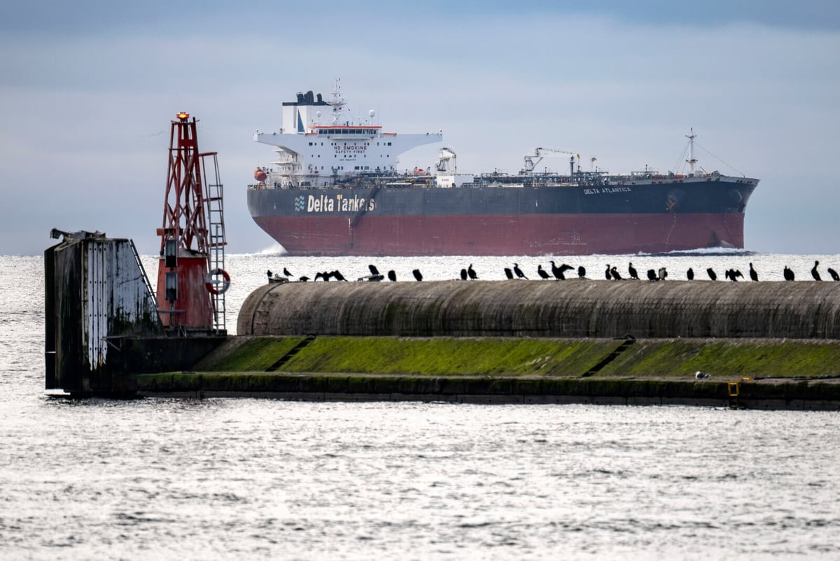 Swedish Shipping Growth Hindered by Maritime Personnel Shortage