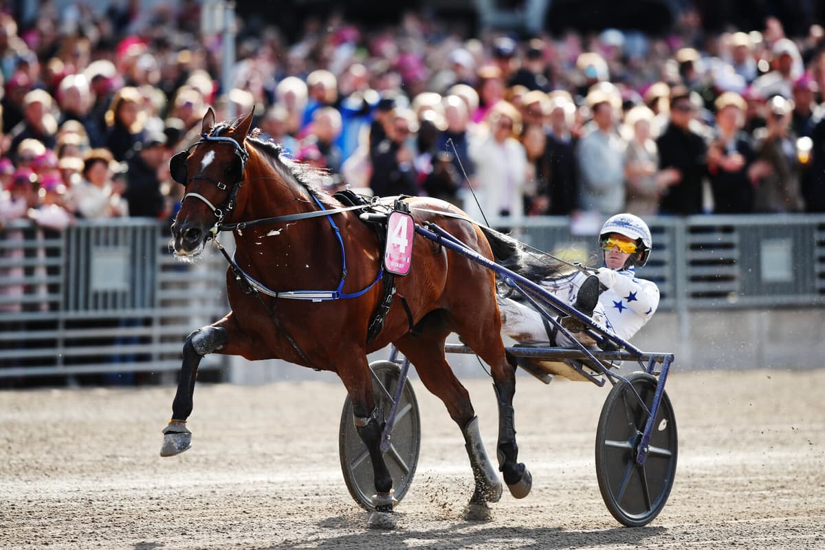 French Horse Go on Boy Wins Elitloppet 2025 with Romain Derieux