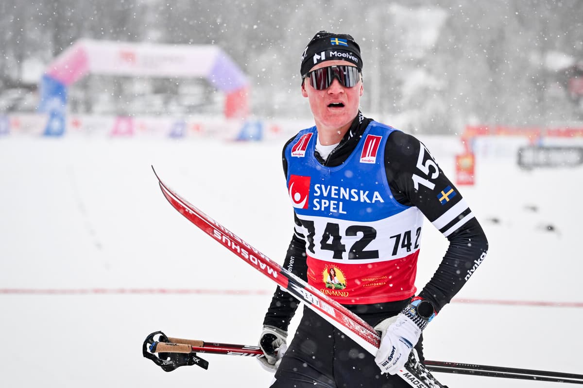 Alvar Myhlback: 'Have they learned anything?'