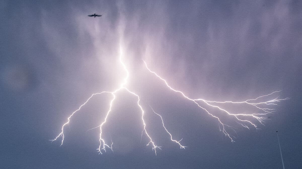 Sun, heat and thunder - this is what the midsummer weather will be like
