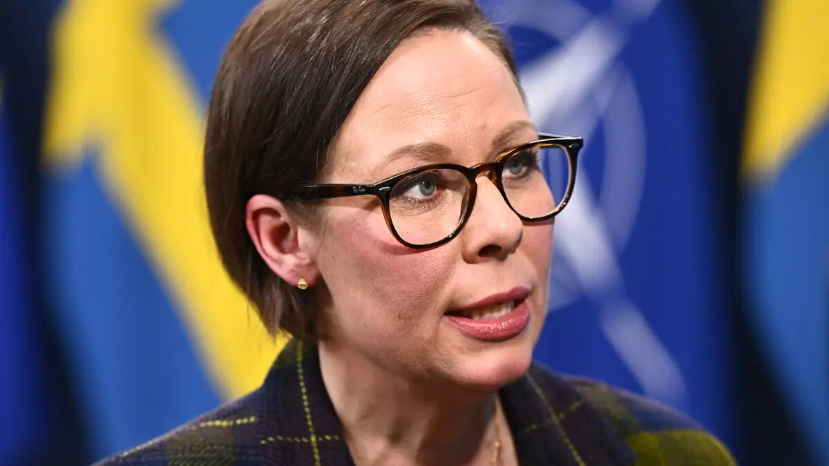 Stenergard says government can't help Swedes in Gaza convoy