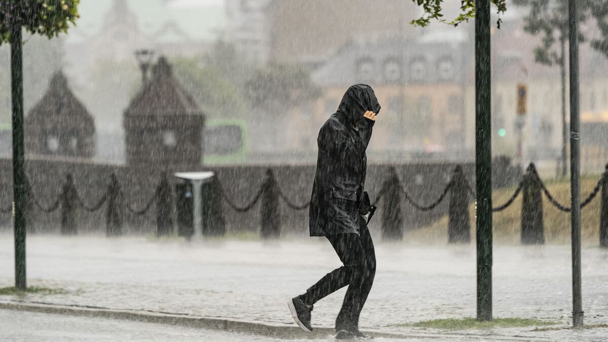 SMHI warns of heavy rain and strong winds, trains canceled in southern Sweden
