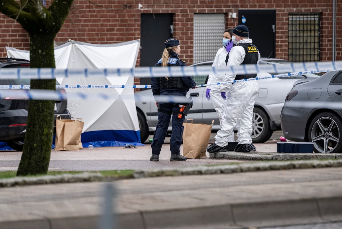 Court of Appeal Reduces Sentence for Young Man in Helsingborg Murder Case