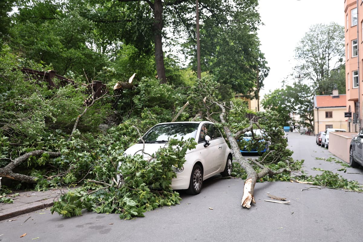 Stormy Weather Patterns Not Solely Linked to Climate Change