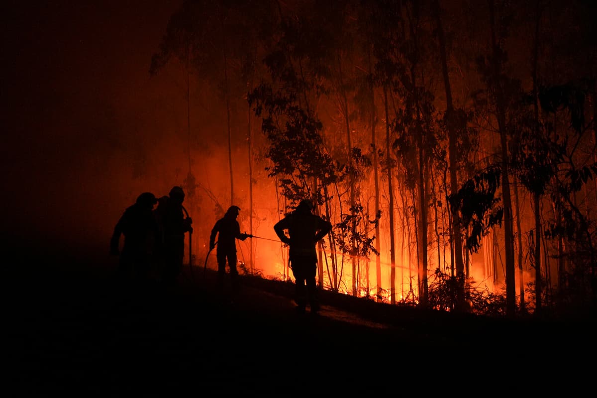 Over One Million Hectares Burned in EU Forest Fires This Year