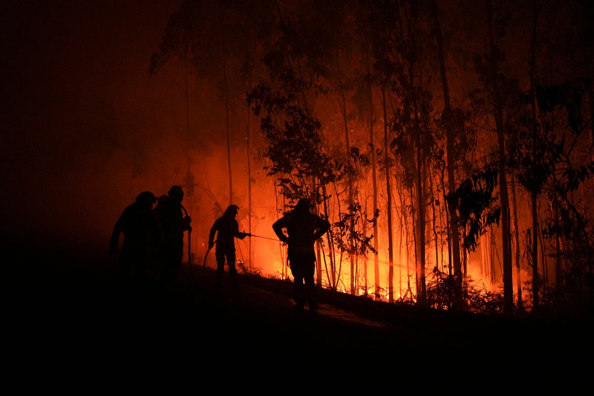 Over One Million Hectares Burned in EU Forest Fires This Year
