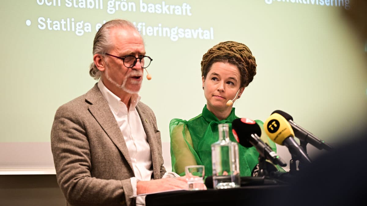 Green Party Urges Government Electrification Agreements to Boost Renewables