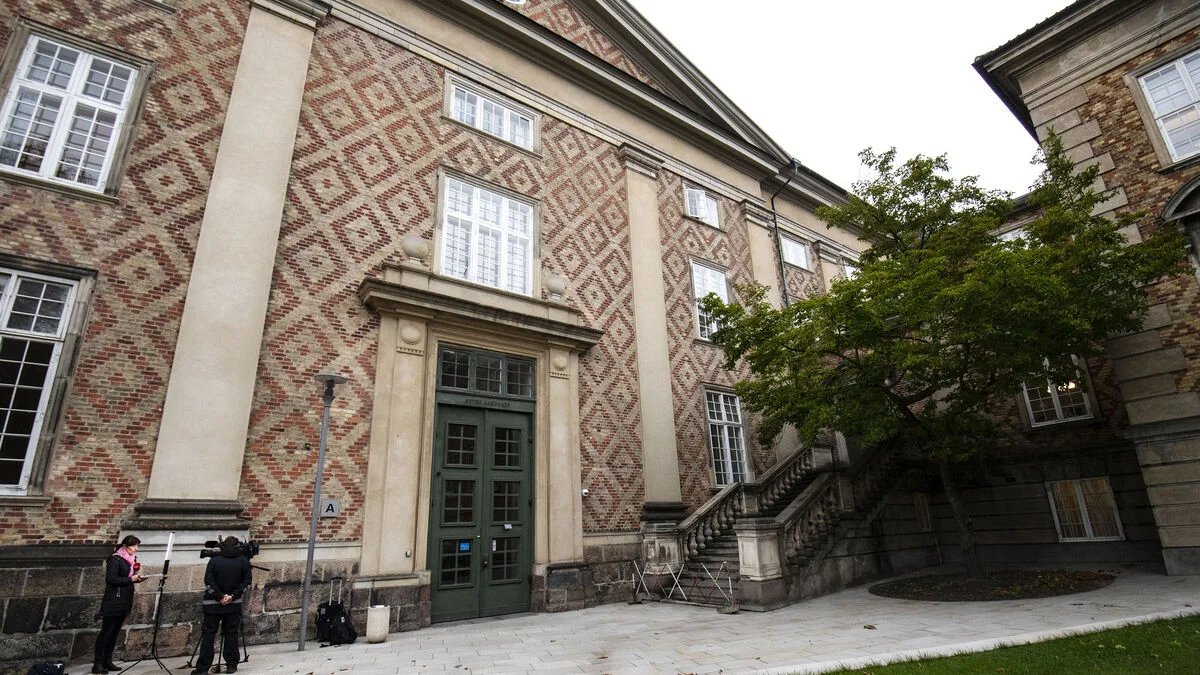 Swedish Man Sentenced to 7 Years in Prison for Grenade Attack on Copenhagen Kiosk