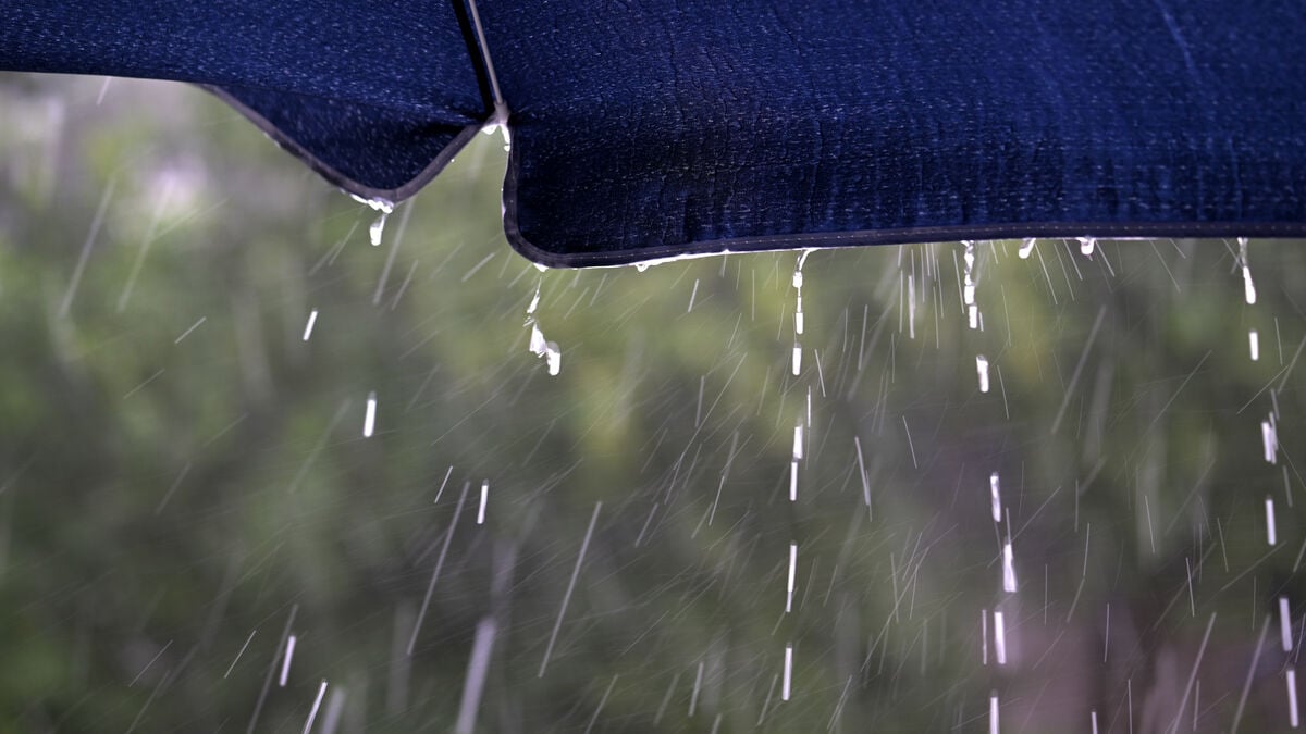 SMHI issues yellow warning for heavy rain in northern Sweden