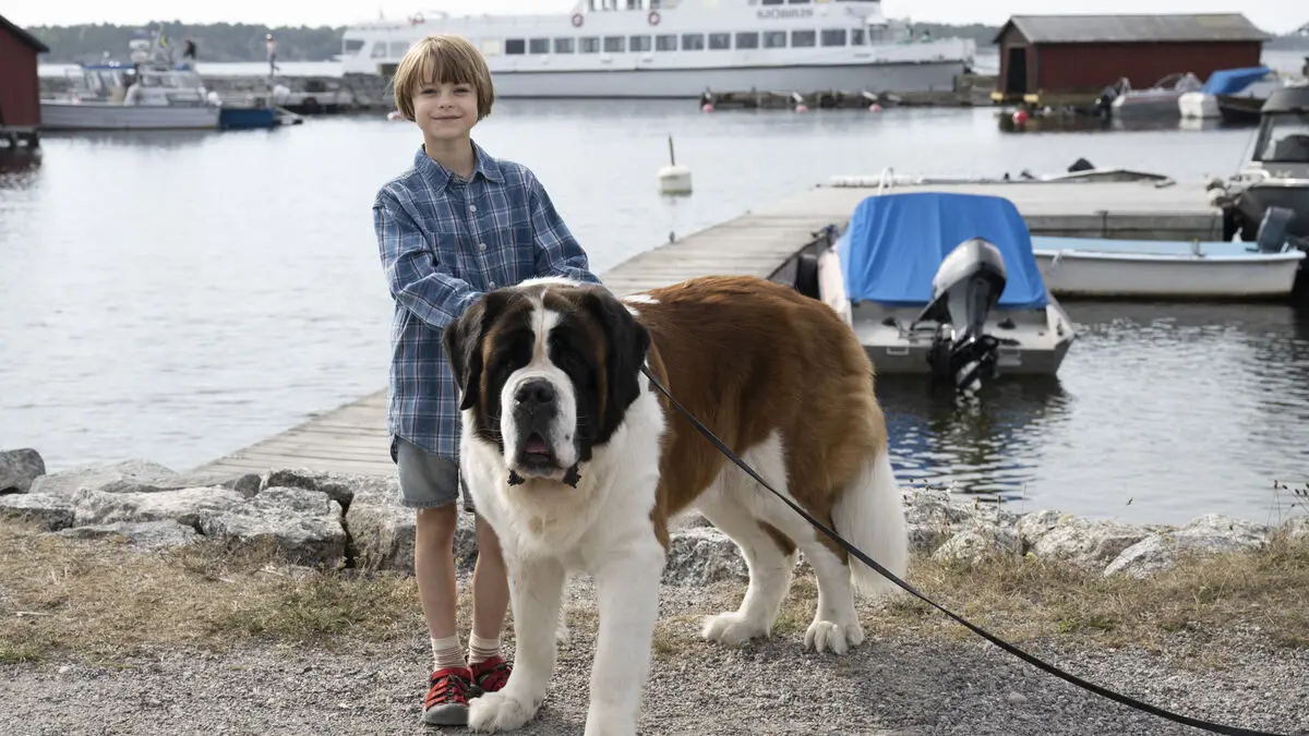 New Saltkråkan Series and Colleen Hoover Film Highlight This Week's Releases