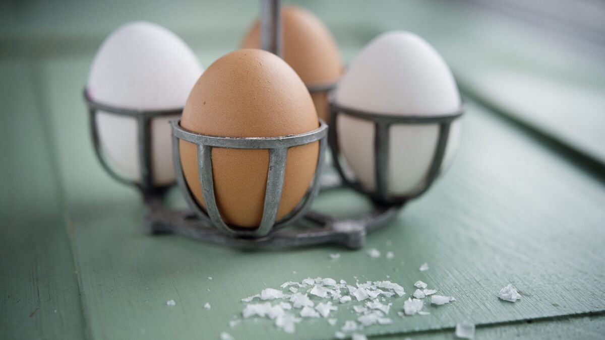 Research shows how to best cook eggs