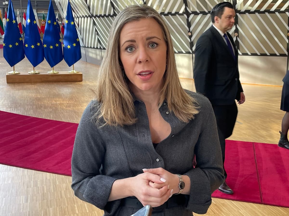 Sweden and Allies Urge EU to Fast-Track Ukraine Membership Talks