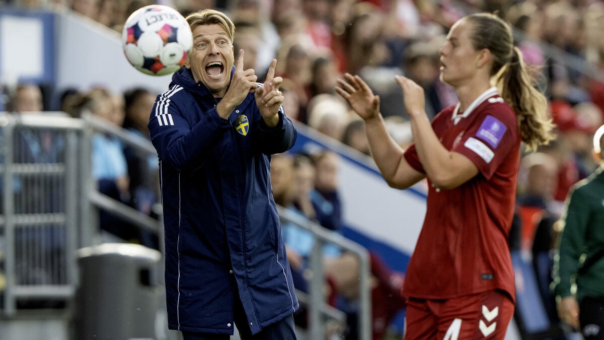 Dark outcome for Gustavsson after 1-2 defeat to Denmark, understands the criticism