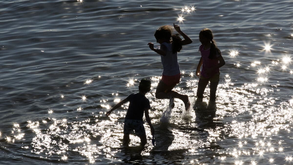 The Swedish Legislative Council: Contribution ceiling may clash with children's rights