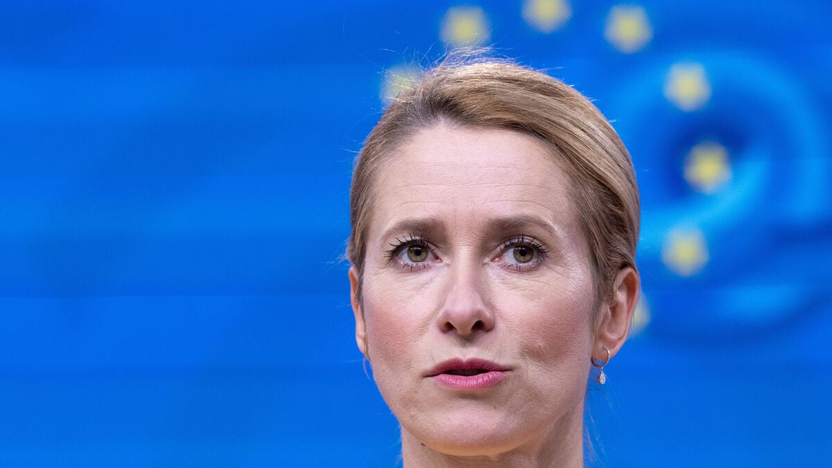 Called: Russia does not want peace