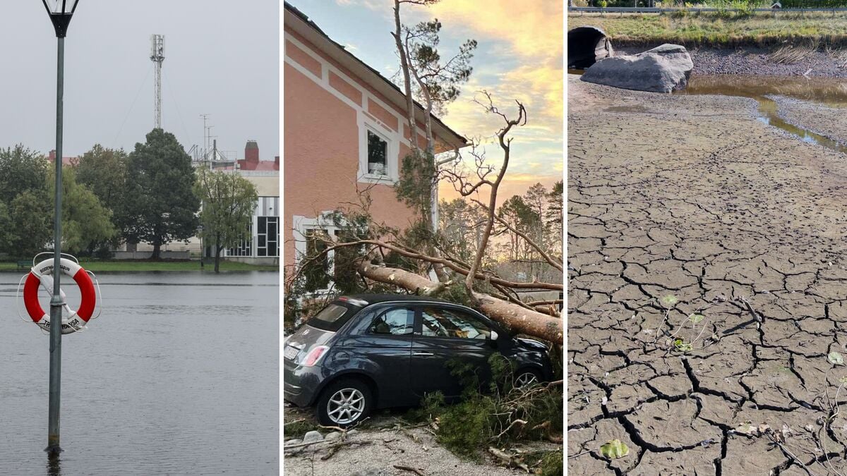 Sweden’s Climate Adaptation Efforts Are Moving Too Slowly, Council Warns