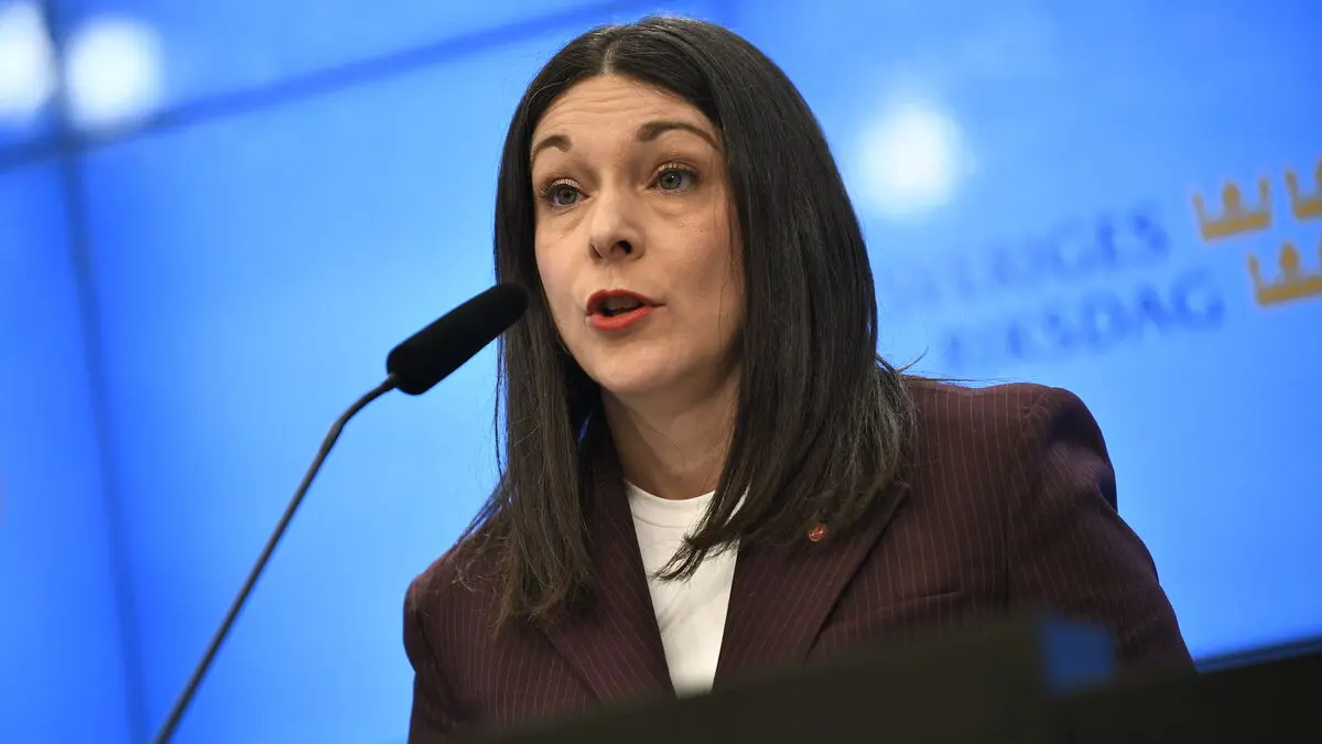 Social Democrats on government's tougher penalties: castle in the air