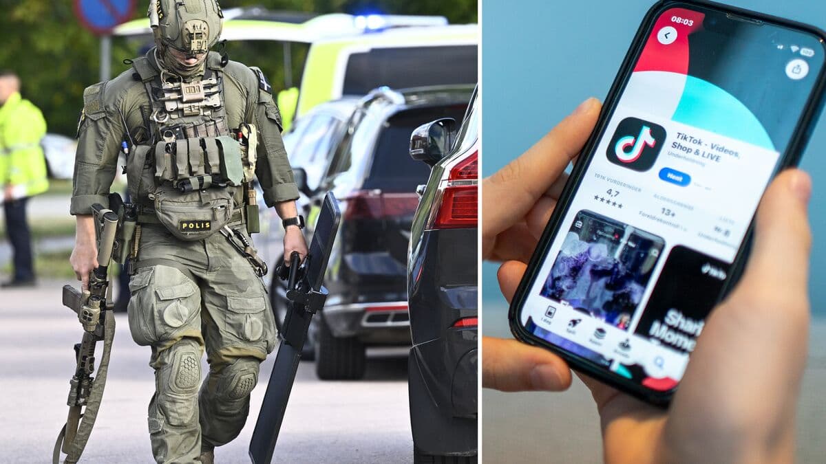 TikTok account praised school killer in online movement linked to violence, journalist says