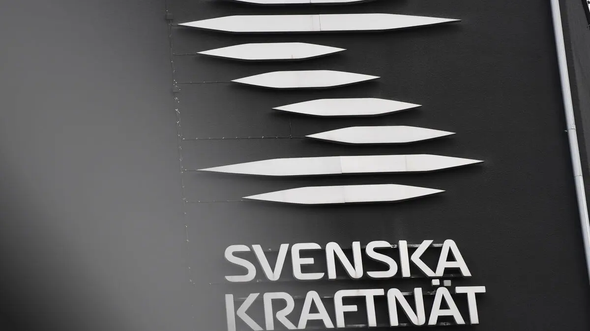 Svenska kraftnät Probes Alleged Hacker Attack on Swedish Energy Agency