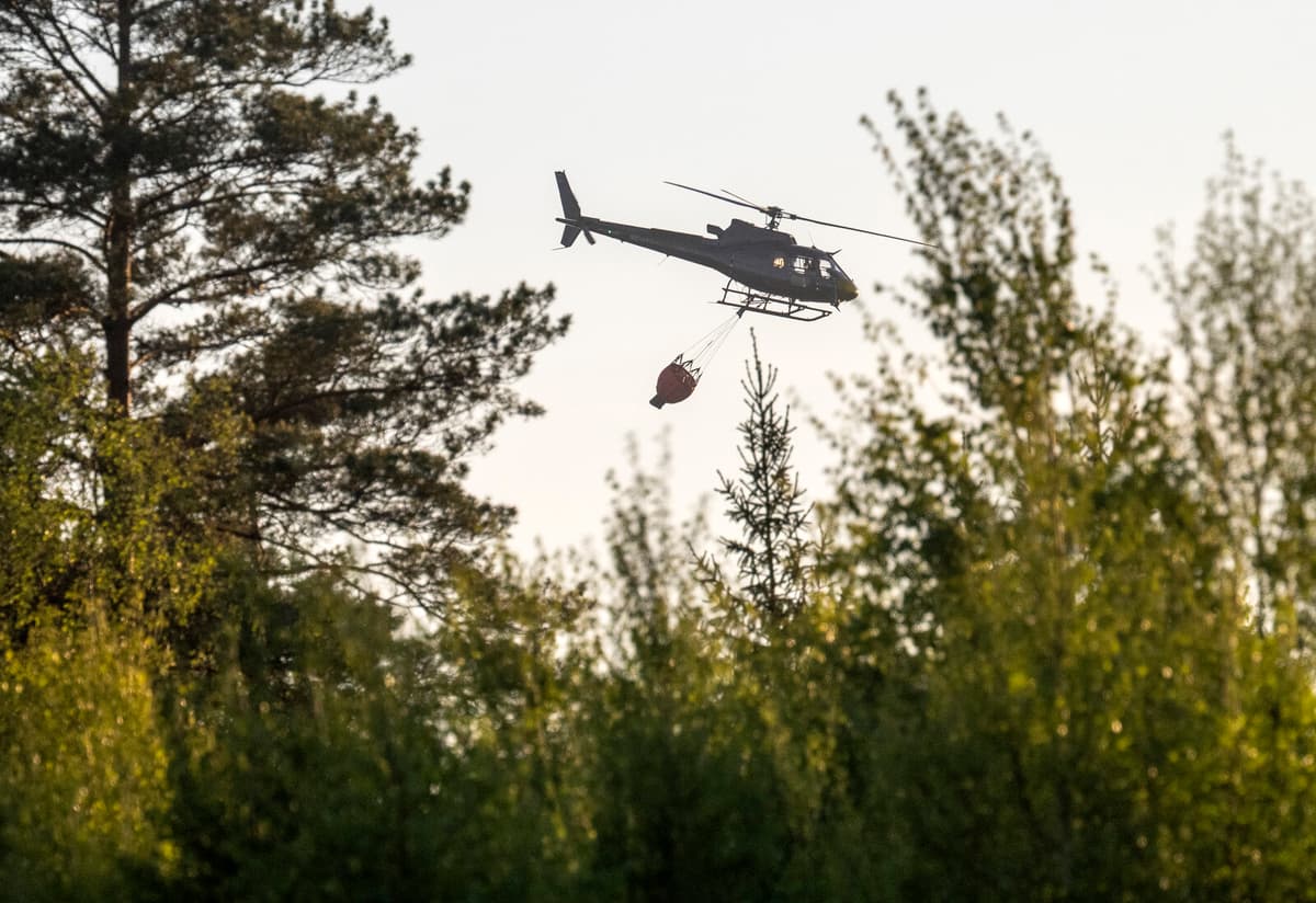 Jokkmokk's Ancient Primeval Forest Burns in Extensive Fire