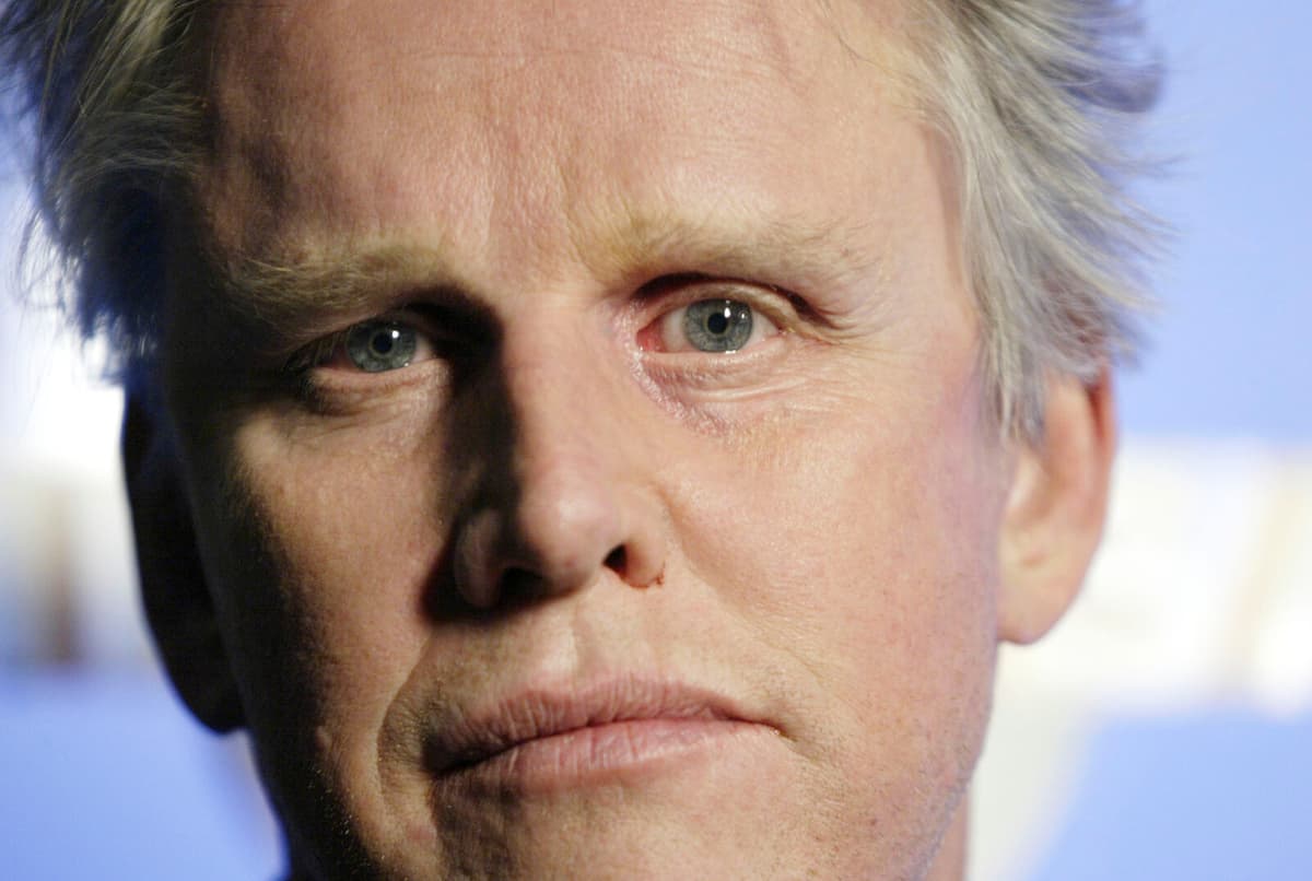Gary Busey Admits to Sexual Harassment at 2022 Horror Movie Fair
