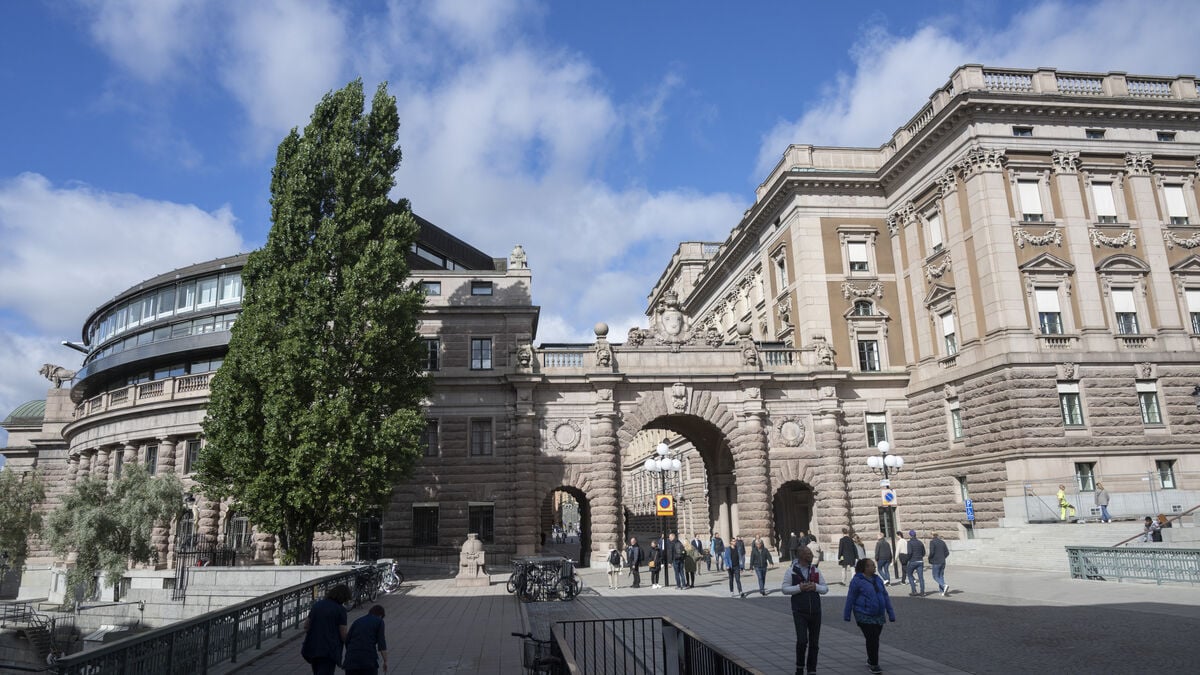 Man in his 40s who tried to take parliament guard's weapon wrestled down