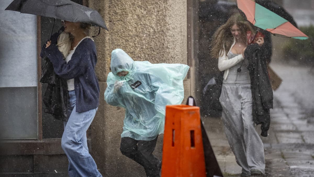 SMHI issues yellow warning for heavy rain in northeastern Svealand on Thursday