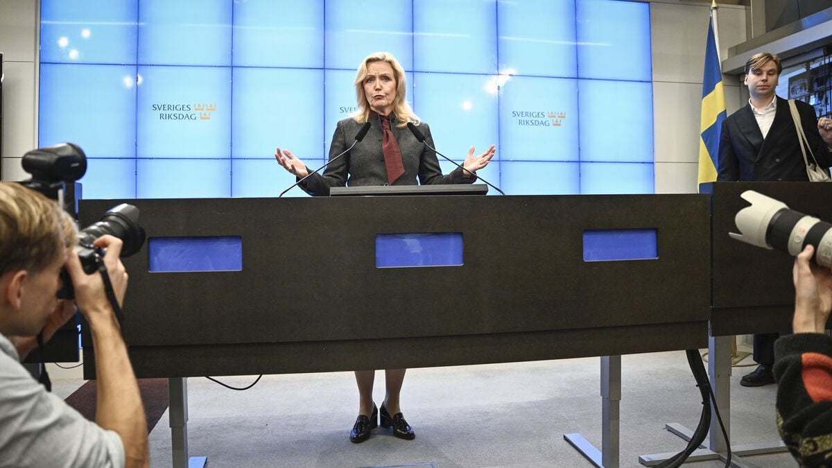Sweden Still Has No Government Six Weeks After Election as Talks Continue