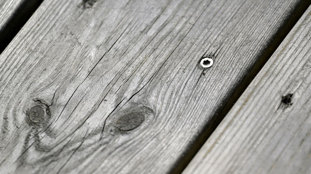 Wooden decks and animals – here are the hottest posts of the year