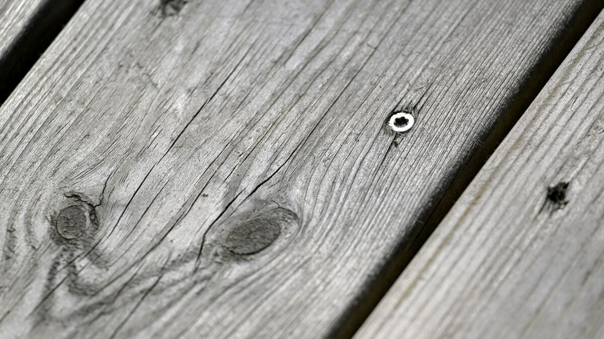 Wooden decks and animals – here are the hottest posts of the year