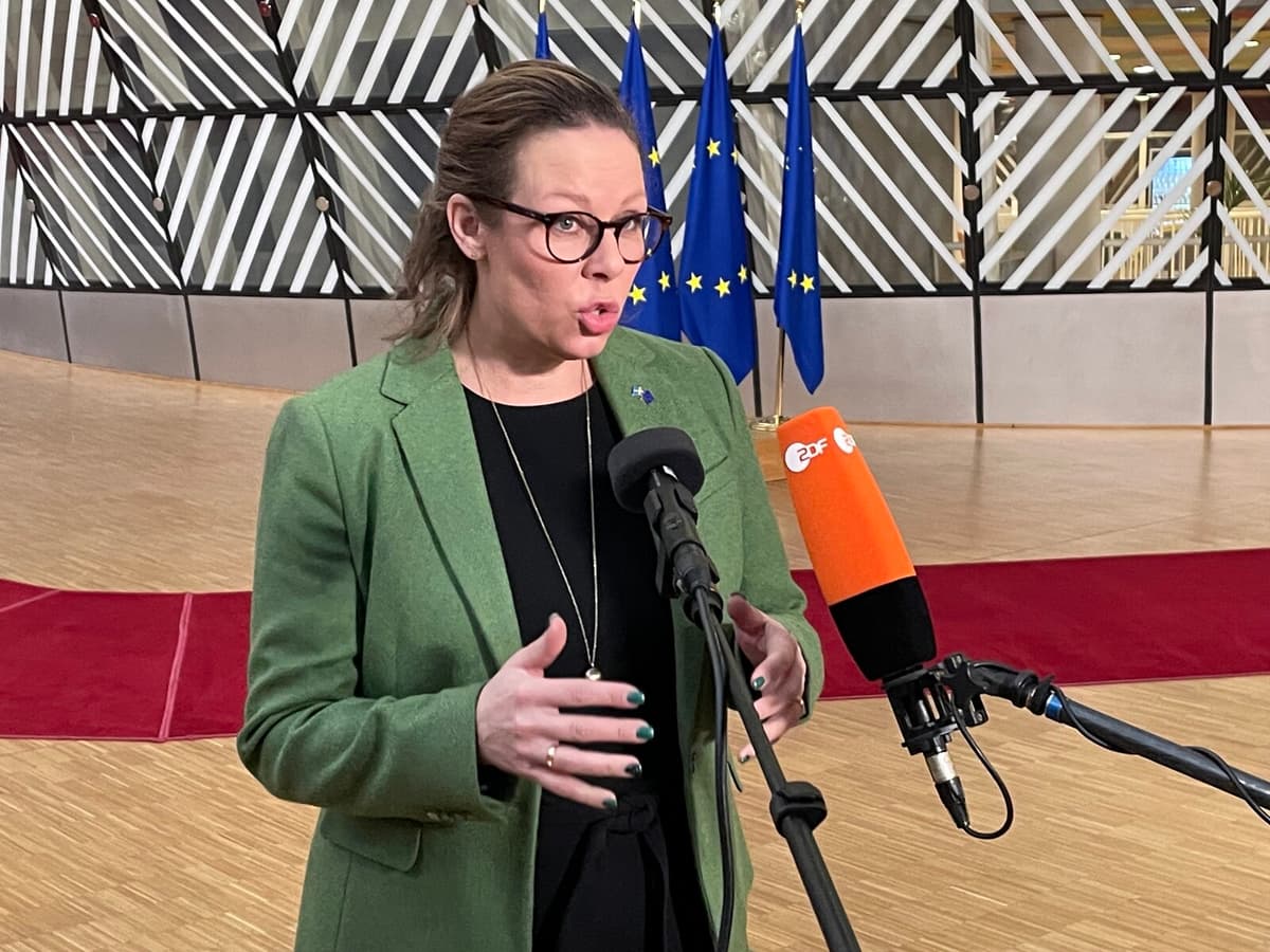 Sweden's Malmer Stenergard to Discuss Journalist's Detention with Turkey