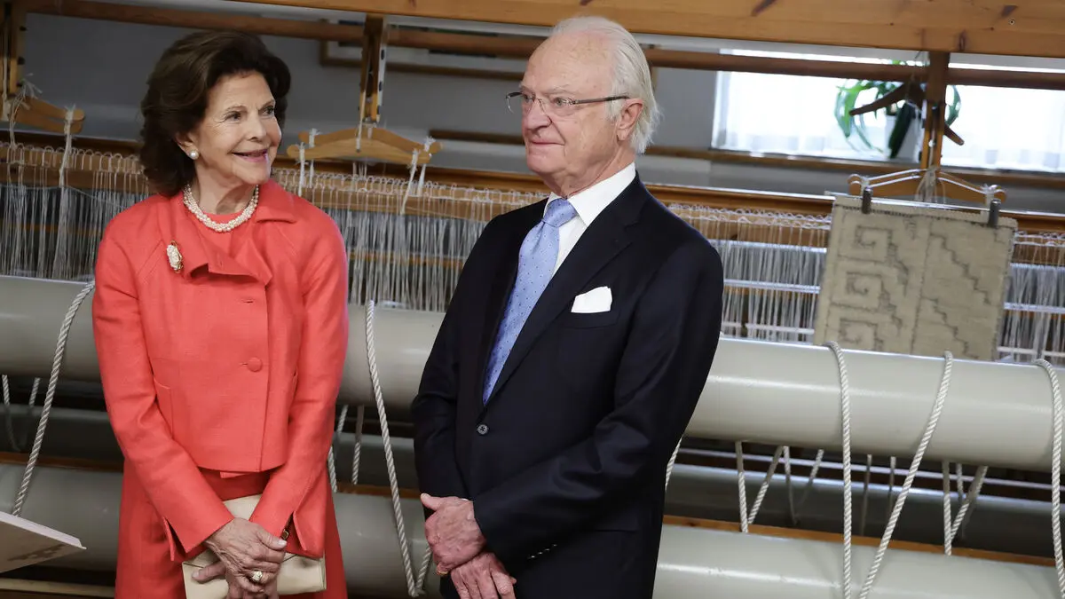 The King says the TV series Queen Silvia feels terrible