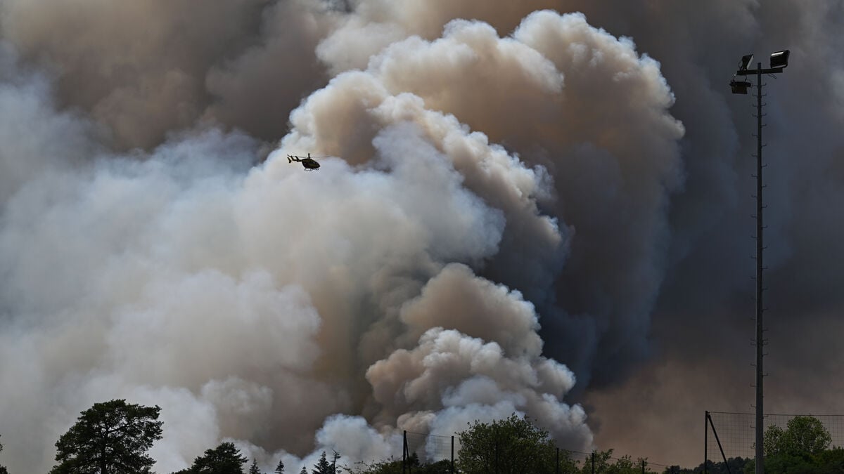 Volunteer firefighter admits starting forest fire in Fontainebleau forest