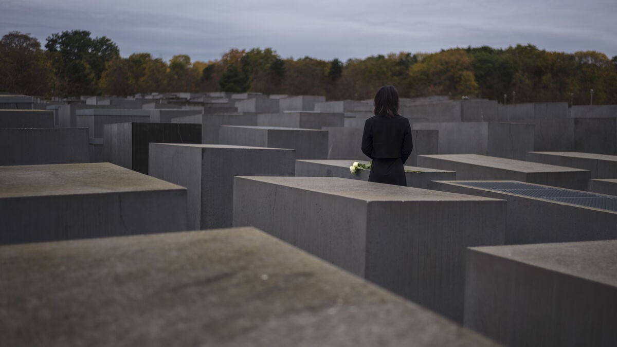 Syrian man sentenced to 13 years for stabbing Spanish tourist at Berlin Holocaust Memorial