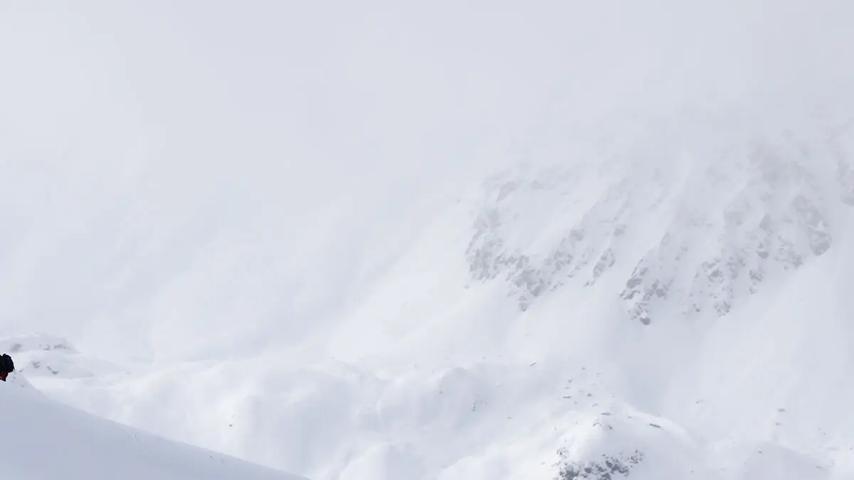 Two dead in avalanche in La Grave, French Alps