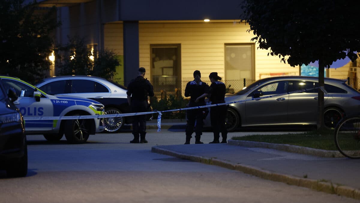 Third person arrested over Uppsala murder investigation