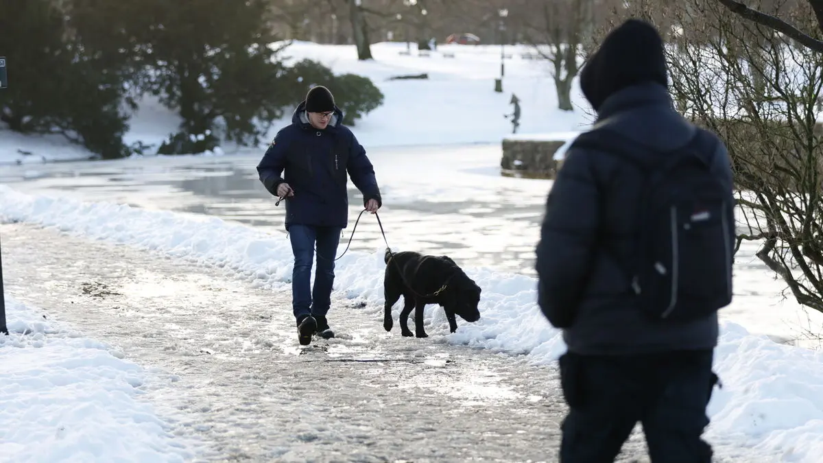 20 degrees up in a few hours - big difference in southern Sweden