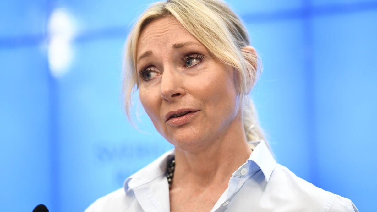 Sweden Democrats oppose law to halt deportations of young migrants, despite backing inquiry