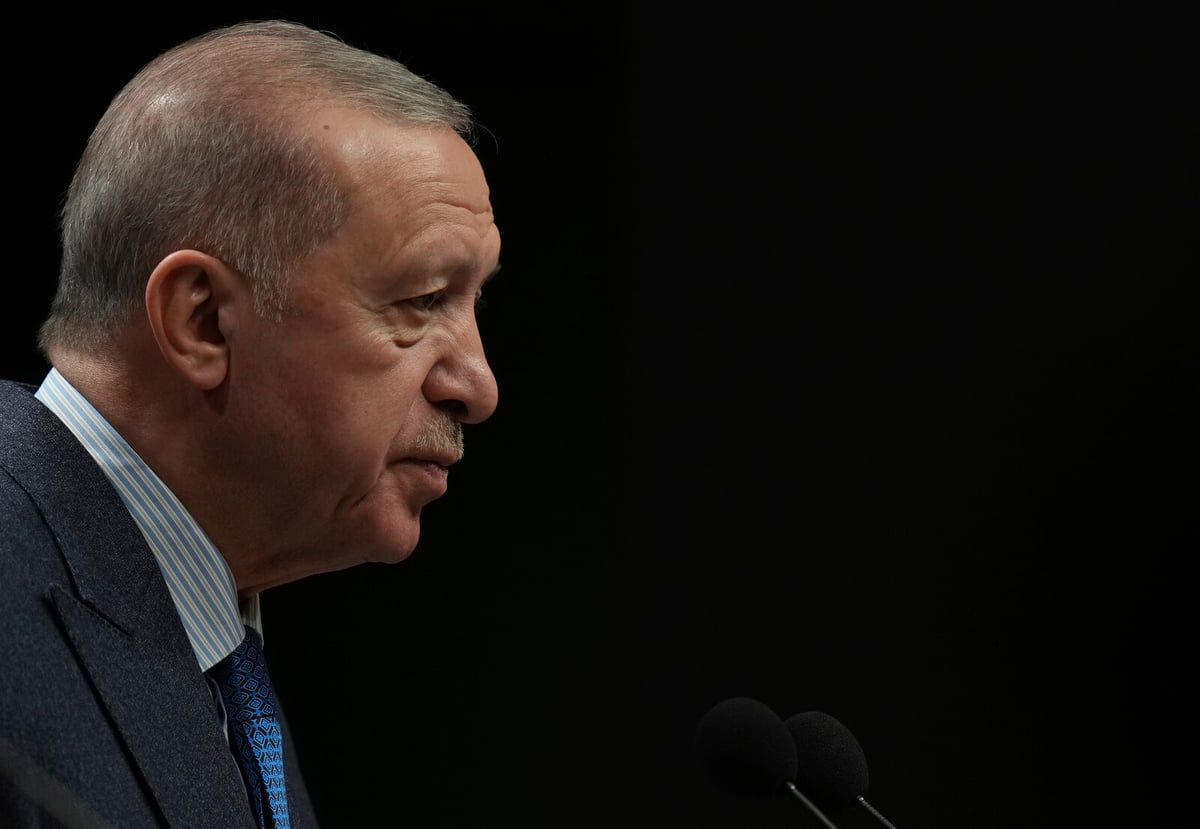 Turkish Journalists Timur Soykan and Murat Agirel Detained in Dawn Raid