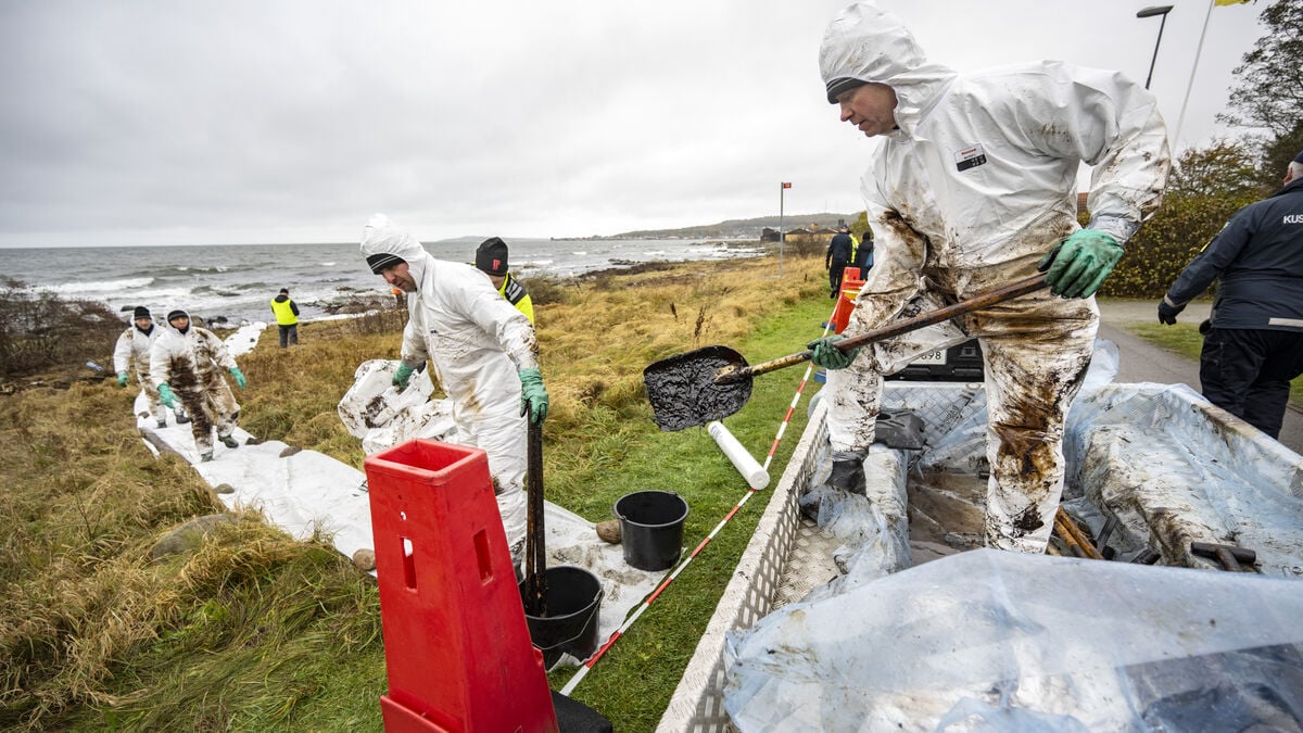 Swedish Agency Sues TT-Line’s Insurer for 15.6 Million Over Marco Polo Oil Spill Cleanup
