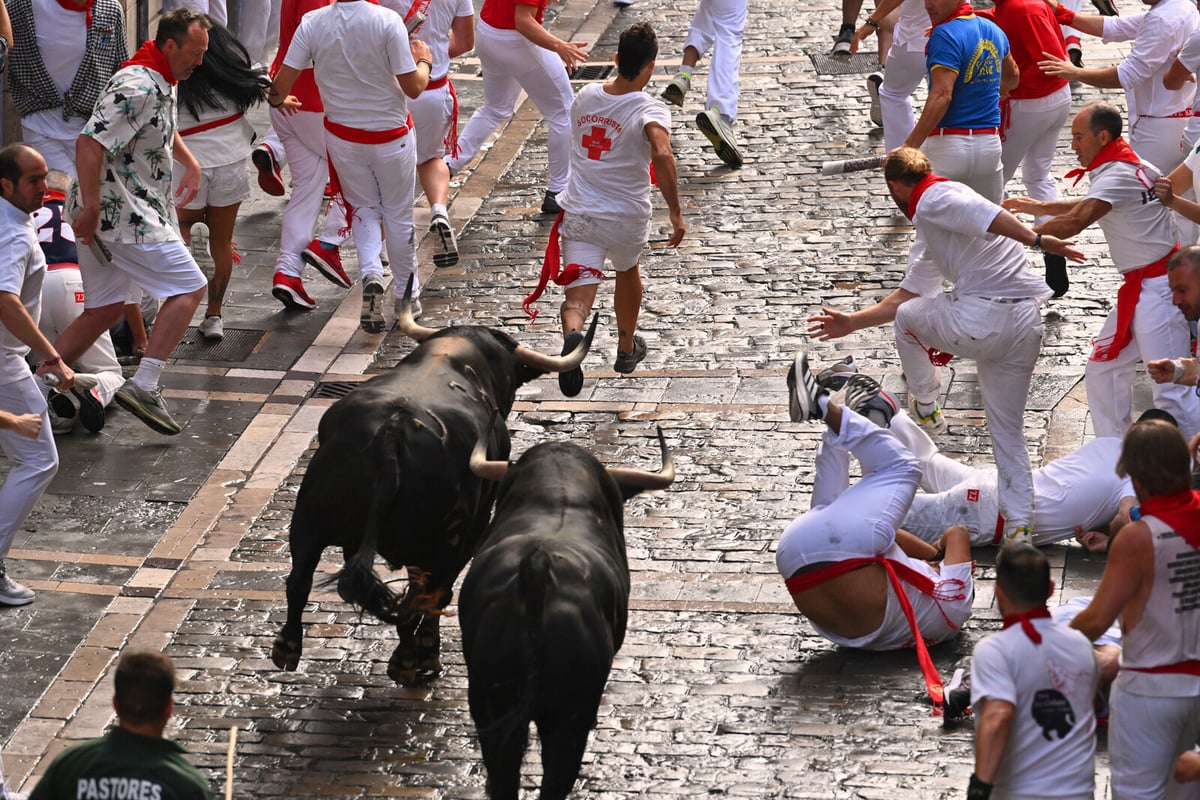 Controversial Bull Running Festival Begins in Pamplona, Spain