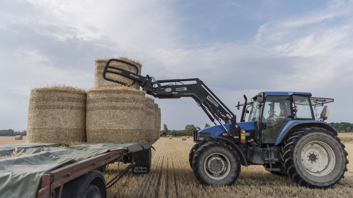 Swedish producer prices rise 3.4% in September, biggest monthly increase since March 2022