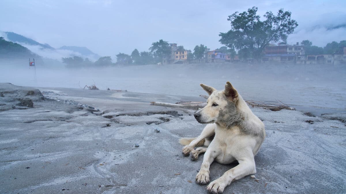 Nepal marks day of mourning as death toll from mudslide rises above 1,350