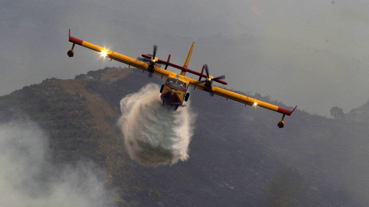 Spain wildfire destroys more than 14,000 hectares in northeast, evacuations continue