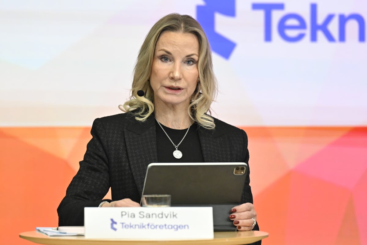 Swedish Tech Companies Face Slow Market in 2025