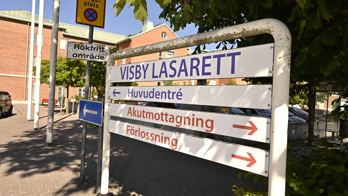 Woman in her 20s dies after car overturns on Gotland's Route 142