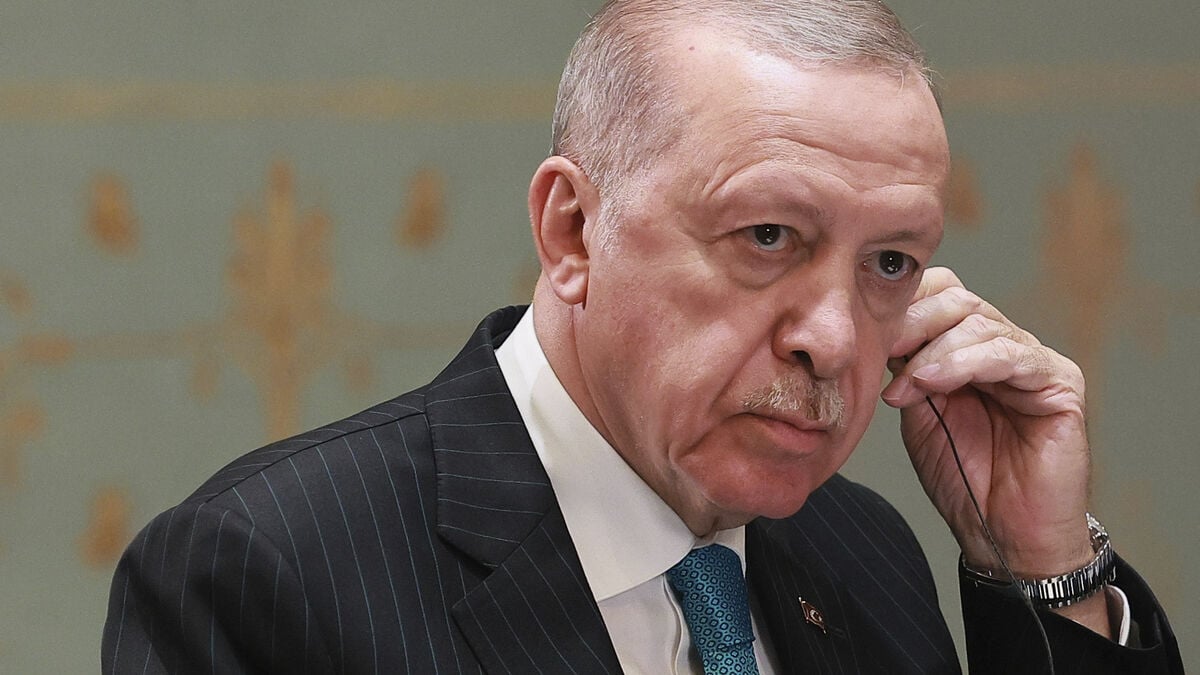 Homeless Man Arrested After Insulting Erdogan to Find Shelter in Turkey